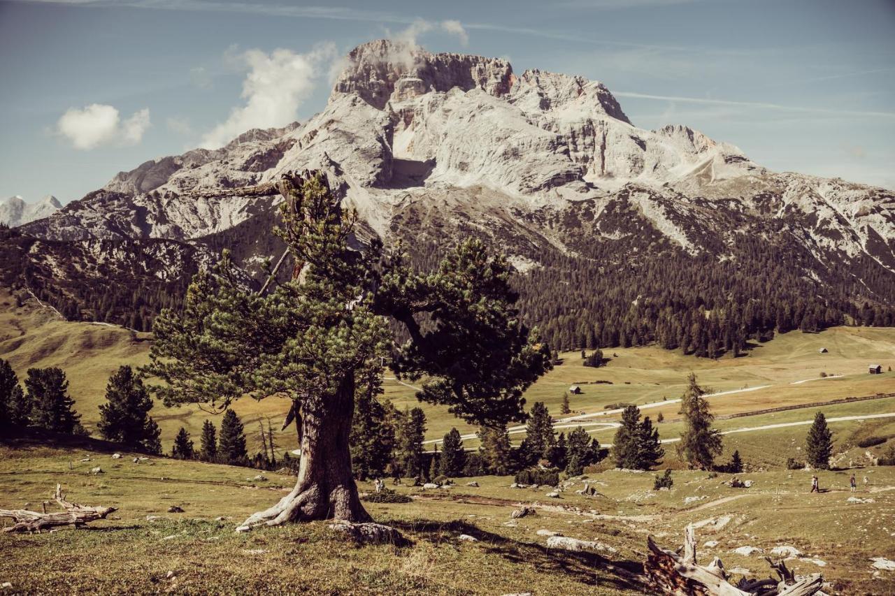 Garni Bergblick Braies (Prags) Exterior foto